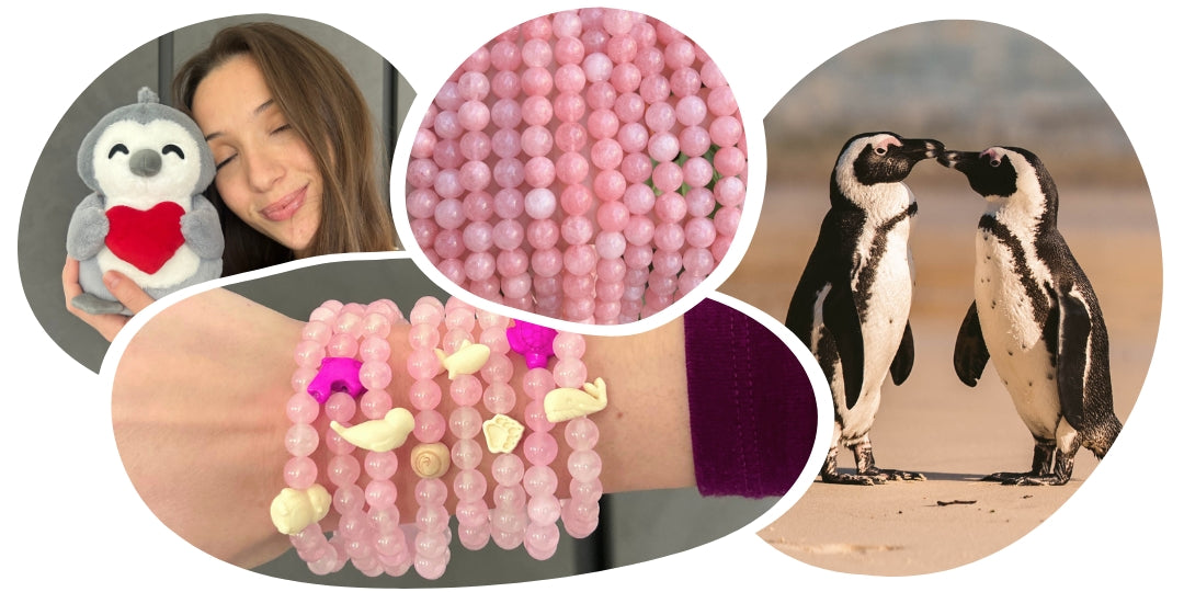 Animal Tracking Bracelet 💕