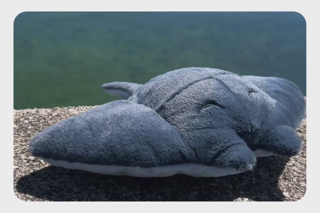 Load and play video in Gallery viewer, Ray Adoption Plushie
