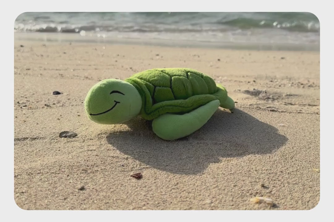 Load and play video in Gallery viewer, Turtle Adoption Plushie
