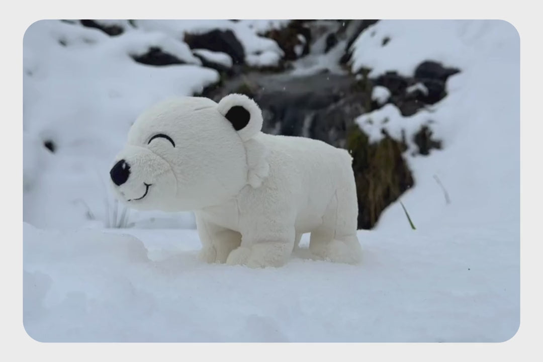 Load and play video in Gallery viewer, Polar Bear Adoption Plushie
