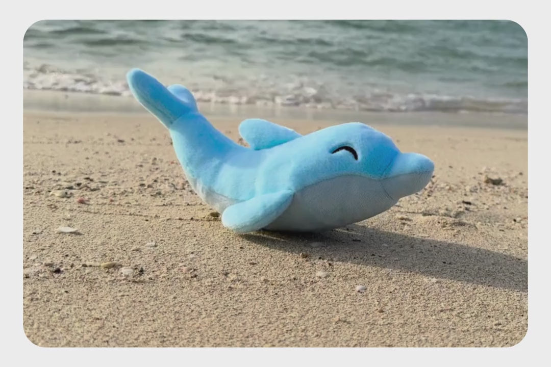 Load and play video in Gallery viewer, Dolphin Adoption Plushie
