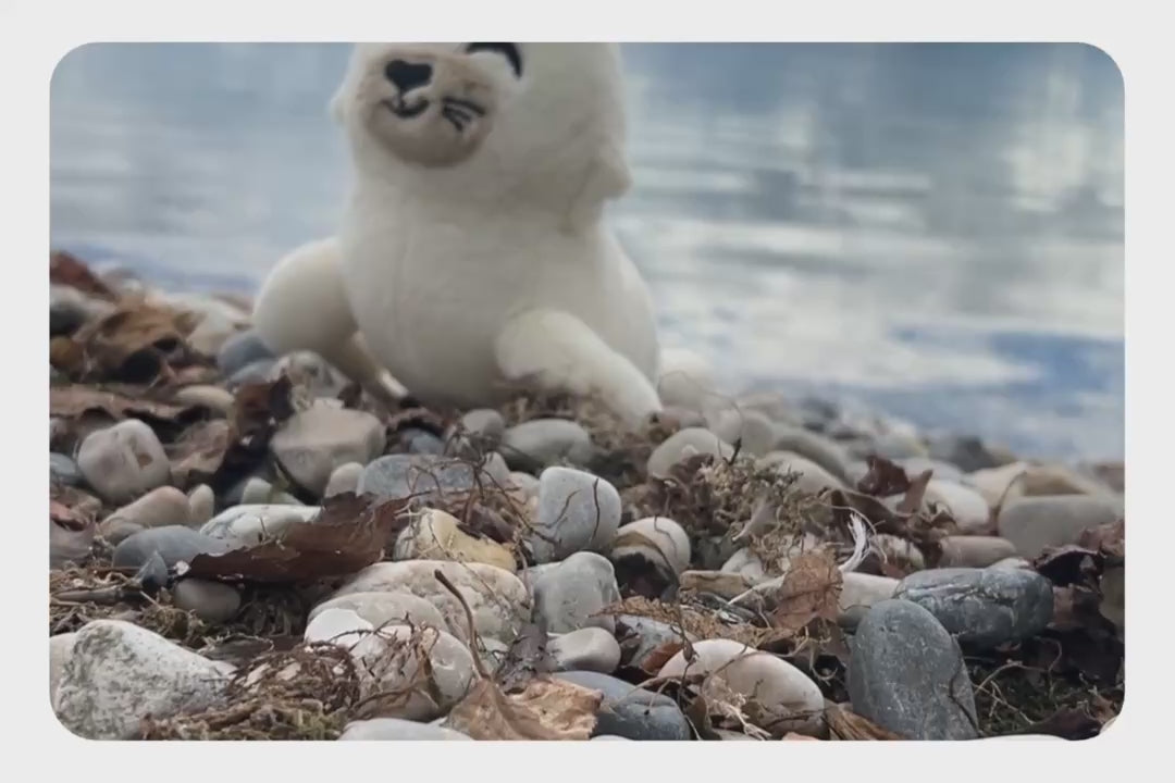Load and play video in Gallery viewer, Seal Plushie
