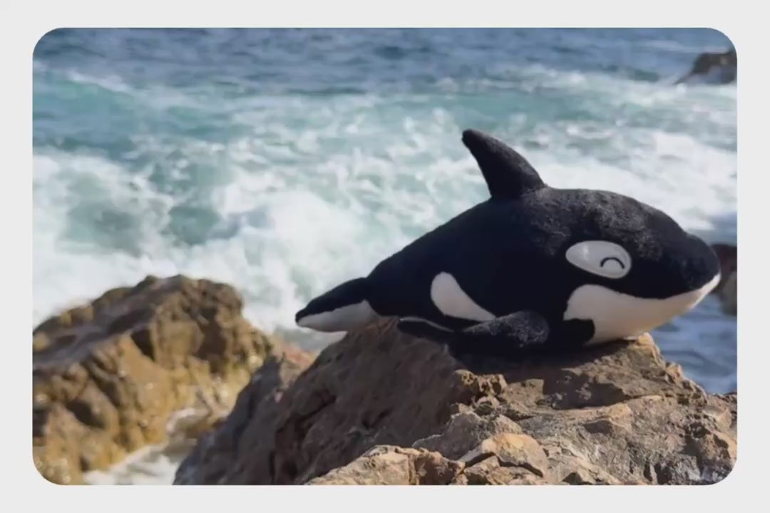 Load and play video in Gallery viewer, Orca Adoption Plushie
